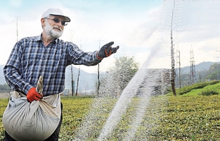 Fiyatlar arttı! Çiftçi ürünü gübresiz ekecek!