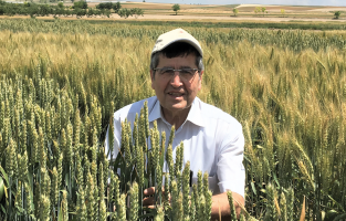 Prof. Dr. Hamit Köksel: Gıdada hammadde önemi artıyor'