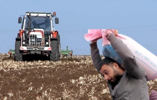 TİGEM'den işletme bazında gübre ihalesi!