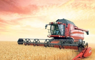 İthal buğdayın fiyatı dolar bazında düştü