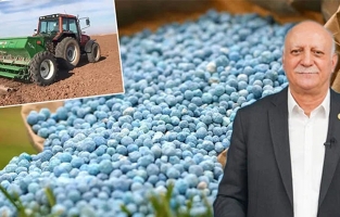 Çiftçinin dayanacak gücü kalmadı!