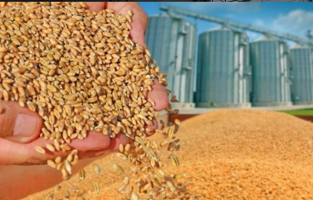 TMO Van'daki un fabrikalarına uygun fiyata buğday verecek