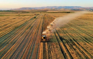 Tarımda üretici enflasyonu yıllık yüzde 24,35 arttı