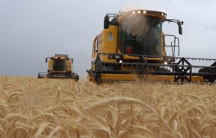 Zam ve ithalat politikasıyla tarımda 2022 daha zor geçecek