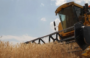 TMO: Un fiyatları 185-200 TL arasındaki satışlar devam edecek