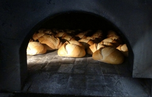 Ekmek krizine karşı çözüm buğday ithalatı! Kendi buğdayımız yetmiyor