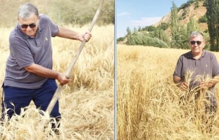 Yüzyıllık yerel tohumları yeşertti