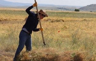 Çiftçiye yeni müjdeler geliyor: Beşi bir yerde destek paketi