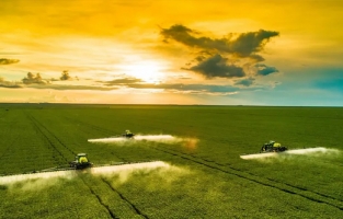 Dünya Bankası, 341 milyon dolarlık krediyi onayladı