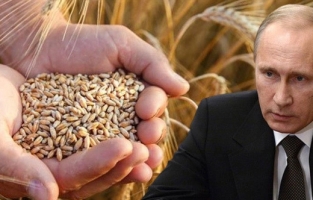 Putin buğdayı silah olarak kullanabilir