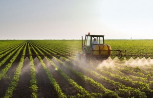 Tarım Kredi Kooperatifleri gübre fiyatlarına zam yaptı!