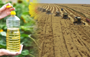 TMO'dan ayçiçeği yağı ve buğday stokları açıklaması