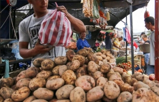Patates, kanser ihtimali nedeniyle 26 il karantinaya alındı.