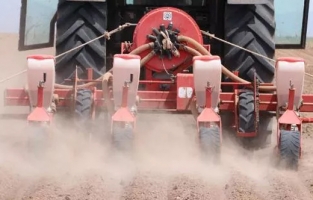 Türkiye'nin en büyük ikinci 'tahıl ambarı' Eskişehir'de kuraklık endişesi