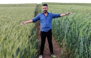 7 bin yıllık tohumlar boy göstermeye başladı! Çiftçiler çok umutlu: Buğday sorunu kalmayacak