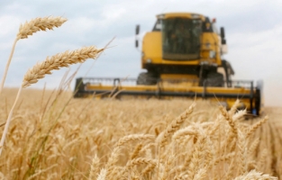 "Buğday krizi ekmek krizine dönüşüyor"