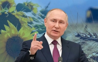 Putin'den, flaş buğday ihracatı kararı