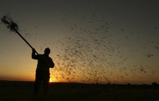 Tarımda girdi maliyetleri bir yılda yüzde 105 arttı