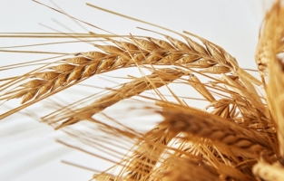 Un fiyatlarıyla ilgili korkutan açıklama