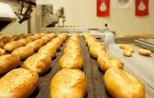 Halk Ekmek İstanbullu çiftçilerden buğday alımı yapacak