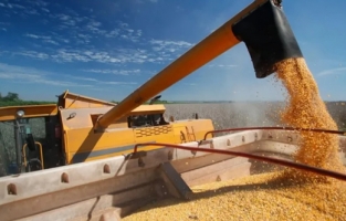 İstanbul'da tahıl zirvesi