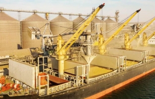 Tahıl krizinde "kırmızı hat" kuruldu