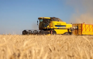 Lisanslı depolarda azami depolama süresi 12 aya indi