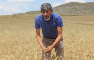 Sivas Ziraat Odası Başkanı, dış güçlerin tahılları kaçırmasına izin vermeyeceklerini söyledi