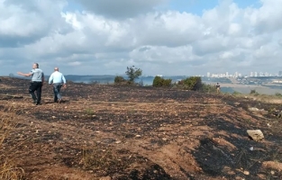 Son dakika! İstanbul'da buğday tarlasında yangın
