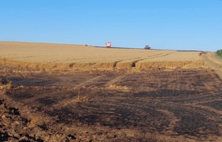 Tekirdağ’da bin dönüm buğday tarlası yandı