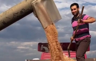 TMO'dan hububat alımlarına ilişkin son dakika açıklama...