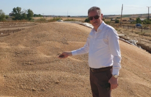 TMO Genel Müdürü Güldal: Buğdayda önemli artış görüyoruz