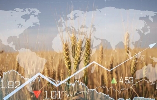 Gıda krizi şekil değiştiriyor: 'Daha kötüsü olabilir'