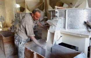 Muş'ta hasadı yapılan buğday değirmenlerde öğütülüyor