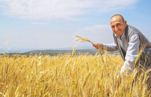 Tarımda "Gelir Koruma Sigortası" yaygınlaşıyor