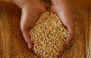 TMO'dan süre uzatımı açıklaması