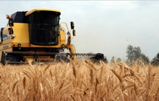 Bakanlık rakam vererek açıkladı: Artış bekleniyor