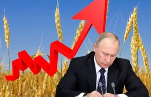 Buğday fiyatlarında 'anlaşma iptali' hareketliliği