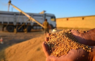 Hububatta DİR yoluyla ‘haksız rekabet’ iddiası