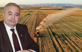 Tarım arazilerindeki fiyat artışları tüketiciye yansıyacak