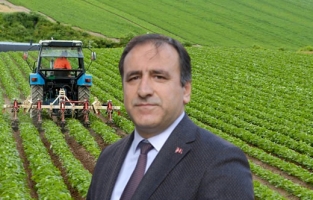 Anadolu’nun doyurduğu İstanbul tarıma dönüyor