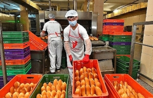 Halk Ekmek’in fiyatı 4 TL oldu