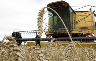 Depremden etkilenen çiftçilere destekler nakit ödenecek