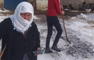 Kars'ta 70 yaşındaki kadın düvesini satıp parasını depremzedelere bağışladı