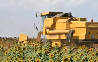 Ayçiçek yağı fiyatlarıyla ilgili flaş açıklama geldi! Tedirgin ediyor