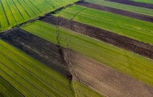 Depremin tarıma zararı 24 milyarın üzerinde