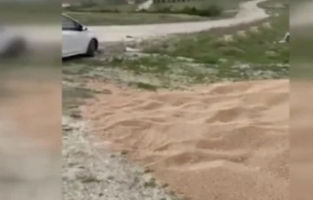 50 ton buğdayı döküp gittiler!