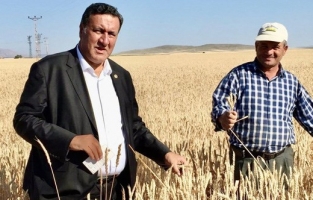 Milletvekili Gürer: Nüfus artıyor buğday üretimi yerinde sayıyor