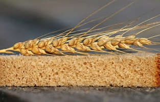 Rusya Ukrayna'yı vurdu, buğday fiyatları uçtu!