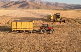 Hububat üretiminde yüzde 75 artış bekleniyor